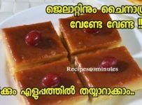 ജലാറ്റിനും ചൈനാഗ്രാസുമില്ലാതെ എളുപ്പത്തിലൊരു ഒരു കിടിലൻ പുഡ്ഡിംഗ്