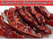 കുട്ടിക്കാലത്ത് ഓർമ്മകൾക്കായി ഒരു പുളിമുട്ടായി.സാധാരണ പുളി മുട്ടായി ഉണ്ടാക്കുന്ന രീതിയിൽ നിന്നും തികച്ചും വ്യത്യസ്തമായ ഒരു രീതിയിൽ ആണ് ഞാൻ ഈ പുളിമുട്ടായി ഉണ്ടാക്കിയത്.നിങ്ങളും ഒന്ന് ഉണ്ടാക്കി നോക്കു തീർച്ചയായും ഇഷ്ട്ടപെടും.
