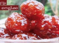 തേൻ നെല്ലിക്ക കഴിക്കാൻ ഇനി 45 ദിവസം കാത്തിരിക്കേണ്ട