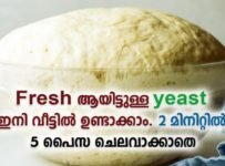 Fresh ആയിട്ടുള്ള yeast ഇനി വീട്ടിൽ ഉണ്ടാക്കാം 2മിനിറ്റിൽ 5പൈസ ചെലവാക്കാതെ