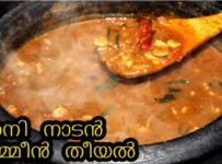 ചെമ്മീൻ തീയൽ/തനി നാടൻ ചെമ്മീൻ തീയൽ തയ്യാറാക്കാം