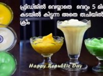 ഇനി 8 മണിക്കൂർ കാത്തിരിക്കണ്ട..Fridge വെയ്ക്കാതെ  വെറും 5 മിനുറ്റിൽ കടയിൽ കിട്ടുന്ന അതെ രുചിയിൽ ഐസ് ക്രീം..