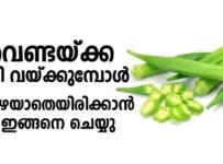 വെണ്ടയ്ക്ക കറി വയ്ക്കുമ്പോൾ കുഴയാതെയിരിക്കാൻ ഇങ്ങനെ ചെയ്യൂ