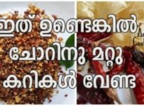 പപ്പടവും വറ്റൽമുളകും ഉപയോഗിച്ച് ഇത് പോലെ ഒന്ന് ഉണ്ടാക്കി നോക്കു, ചോറിനു മറ്റു കറികൾ ഒന്നും തന്നെ വേണ്ടി വരില്ല
