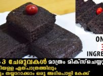 നിങ്ങളുടെ കൈയിൽ പാലും ബിസ്ക്കറ്റുമുണ്ടങ്കിൽ ഇപ്പോൾ തന്നെഉണ്ടാക്കൂ കിടിലൻ കേക്ക്