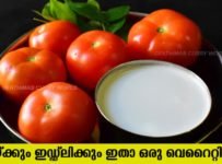 ദോശയ്ക്കും ഇഡഡ്ലിക്കും ഇതാ ഒരു കിടിലൻ ചട്ണി. വളരെ എളുപ്പത്തിൽ ഉണ്ടാക്കിയെടുക്കാൻ പറ്റിയ നല്ല രുചിയുള്ള ഈ ചട്ണി റെസിപ്പി പരിചയപ്പെടാം