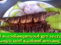ഇത് വരെ ആരും ചേർക്കാത്ത ചേരുവ.. അടിപൊളി മീൻ fry ready| Special Fish Fry