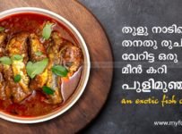 മംഗലാപുരം സ്റ്റൈൽ നല്ല കിടിലൻ മീൻകറി
