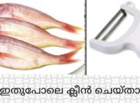 വളരെ എളുപ്പത്തിൽ മീനിന്റെ പുറഭാഗം ക്ലീൻ ചെയ്തെടുക്കുന്ന ഒരു രീതിയാണിത്.