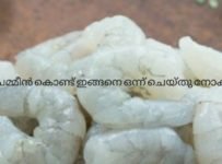 ചെമ്മീൻ ഇനി മുതൽ ഇങ്ങനെ ചെയ്യൂ