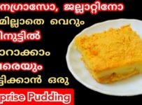 ഒരുപാട് തരം പുഡിങ് നിങ്ങൾ തയ്യാറാക്കി നോകീട്ടുണ്ടാവും പക്ഷേ ഇതുപോലെ ഇത്രെയും ഈസിയും ടേസ്റ്റിയുമായ പുഡിങ് നിങ്ങൾ കഴിച്ചിട്ടുണ്ടാവില്ല… വെറും 3ചേരുവകൾ കൊണ്ട് വിരുന്നുകാരെ ഞെട്ടിക്കാൻ തയ്യാറാക്കാം കിടിലം പുഡിങ്