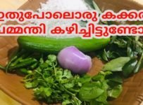 ഇതുപോലൊരു കക്കരി ചമ്മന്തി കഴിച്ചിട്ടുണ്ടോ?