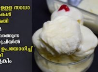 വീട്ടിൽ ഉള്ള സാദാരണ ചേരുവകൾ മാത്രം മതി .ഒരു കിടിലൻ ക്രീമി ice cream ഉണ്ടാക്കാം