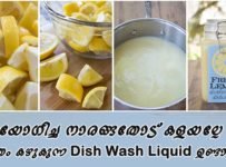 ഉപയോഗിച്ച നാരങ്ങതോട് കളയല്ലേ പാത്രം കഴുകുന്ന Dish Wash Liquid ഉണ്ടാക്കാം