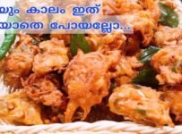 ഇത് ഉണ്ടാക്കിയത് എന്തുകൊണ്ട് എന്നറിഞ്ഞാൽ നിങ്ങൾ ഞെട്ടും