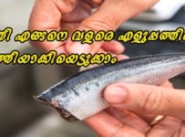 മത്തി എങ്ങനെ വൃത്തിയാക്കിയെടുക്കാം