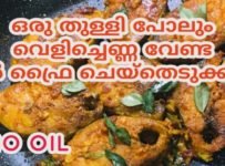 മീൻ ഫ്രൈ ചെയ്തെടുക്കാൻ ഒരു തുള്ളി വെളിച്ചെണ്ണ പോലും ഇനി വേണ്ട