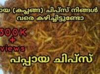 പപ്പായ കയ്യിൽ ഉണ്ടെങ്കിൽ ഇപ്പോൾ തന്നെ ഈ ചിപ്സ് തയ്യാറാക്കി നോക്കൂ