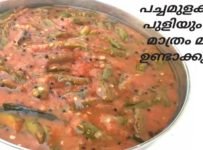 കുറച്ചു പച്ചമുളകും പുളിയും ഉണ്ടെങ്കിൽ ചോറിനു ഇതു മാത്രംമതി