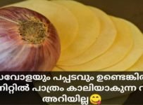 1 സവോളയും പപ്പടവും ഉണ്ടെങ്കിൽ 2 മിനിറ്റിൽ തയാറാക്കാം  ഒരു കിടിലൻ വിഭവം