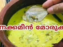 ചോറിന് ഈ ഒരു കറി മാത്രം മതി പൊളിക്കും😋👌🏽|| ഉണക്കമീൻ മോരുകറി