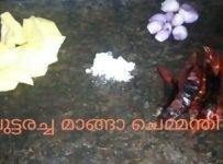 ചൂട് ചോറും നല്ല ചുട്ടരച്ച മാങ്ങാ ചെമ്മന്തയും നല്ല കട്ട കോമ്പിനേഷൻ അല്ലേ ഒന്ന്  ചെയ്‌ത നോക്കൂ. പിന്നെ ഒരു സദ്യ കഴിച്ച സുഖമാണ് എന്തിനാ പിന്നെ വേറെ കറികൾ