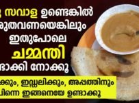 ഒരു സവാള ഉണ്ടെങ്കിൽ ഒരുതവണയെങ്കിലും ഇതുപോലെ ചമ്മന്തി ഉണ്ടാക്കി നോക്കൂ