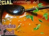 മീനില്ലാത്ത മീൻ കറി /രുചിയൂറും വെണ്ടയ്ക്ക കറി