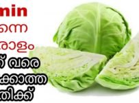 ജോലിക്കാർക്കും മടിയന്മാർക്കും ഹെൽത്തി ഭക്ഷണ പ്രേമികൾക്കും വേണ്ടി തേങ്ങ ചേർക്കാതെ വെറും 5 മിനുട്ടിൽ ഒരു ക്യാബേജ് തോരൻ.