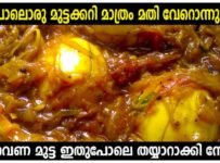 മുട്ട ഉണ്ടെങ്കിൽ ഒരു തവണ ഇതുപോലെ തയ്യാറാക്കി നോക്കൂ. എത്ര കഴിച്ചാലും മതിവരില്ല