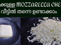 ഇനി മോസറെല്ല ചീസ് കിട്ടുന്നില്ല എന്ന പരാതി വേണ്ട, വീട്ടിൽ എളുപ്പത്തിൽ ഉണ്ടാകാം