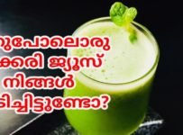 ഇതുപോലൊരു കക്കരി ജ്യൂസ് നിങ്ങൾ കുടിച്ചിട്ടുണ്ടോ