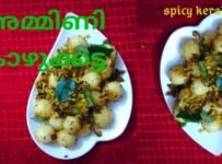 അമ്മിണി കൊഴുക്കട്ട ഉണ്ടാക്കി നോക്കൂ