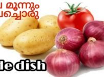 ഉരുളകിഴങ്ങ് ഉണ്ടോ എങ്കിൽ ഇപ്പോൾ തന്നെ ചെയ്ത് നോക്കു അടിപൊളി രുചിയിൽ മപ്പാസ് കറി