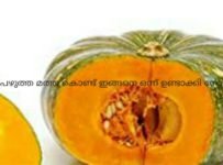 മത്ത കൊണ്ട് ഒരുപാട് വിഭവങ്ങൾ ഉണ്ടാക്കാറുണ്ട്.. ഒരുപാട് വിറ്റാമിൻ സും മിനറല്സും അടങ്ങിയ ഒരു പച്ചക്കറി ആണ് മത്ത.. ഇത് ഒരു വേറിട്ട ഒരു വിഭവമാണ്.. തീർച്ചയായും എല്ലാവർക്കും ഇഷ്ടപ്പെടും