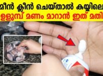 മീൻ ക്ലീൻ ചെയ്താൽ കയ്യിലെ ഉളുമ്പ് മണം മാറാൻ ഇത് മതി