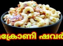 മക്രോണി ഷവർമ,😋 വളരെ എളുപ്പത്തിൽ തയ്യാറാക്കാൻ കഴിയുന്ന ഒരു സിമ്പിൾ ഡിഷ്😘 ഇഷ്ടമില്ലാത്തവർ പോലും ഇത് എന്തായാലും ഇഷ്ടമാകും