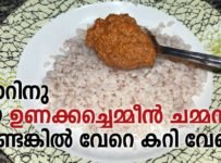 ചോറിനു ഈ ഉണക്കച്ചെമ്മീൻ ചമ്മന്തി ഉണ്ടെങ്കിൽ വേറെ കറി വേണ്ടാ