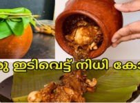 ഇതുപോലൊരു ഒരു ഇടിവെട്ട് നിധി കോഴി നിങ്ങൾ എപ്പോഴെങ്കിലും കഴിച്ചിട്ടുണ്ടോ