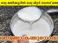 വെറും ഒരു മണിക്കൂറിൽ ഒരു ലിറ്റർ തൈര് ഉണ്ടാക്കാം ഞെട്ടണ്ടാ കണ്ടുനോക്കു