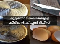 മുട്ട തോട് കൊണ്ടുള്ള കിടിലൻ കിച്ചൻ ടിപ്‌സ്