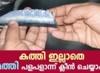 കത്തി ഇല്ലാതെ മത്തി പളപളാന്ന് ക്ലീൻ ചെയ്യാം