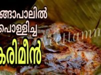 തേങ്ങാപാലിൽ പൊള്ളിച്ച കരിമീൻ ഉണ്ടാക്കി നോക്കൂ