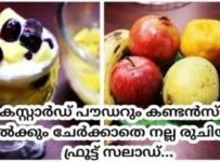 ഫ്രൂട്ട് സലാഡ് ഒരു തവണ ഇങ്ങനെയൊന്ന് ഉണ്ടാക്കി നോക്കൂ