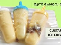 വേനലിൻ എളുപ്പത്തിൽ ഉണ്ടാക്കാം കസ്റ്റാർഡ് ഐസ്ക്രീം