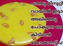 പത്തു മിനുറ്റിൽ വായിൽ ഇട്ടാൽ അലിഞ്ഞു പോകുന്ന ഒരു അടിപൊളി കോക്കനട്ട് ഹൽവ