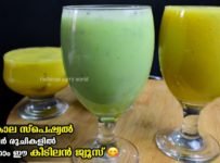 ചൂടും ദാഹവും പമ്പകടക്കും രണ്ട് സൂപ്പർ രുചികളിൽ കിടിലൻ ജ്യൂസ്