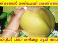 കരിക്ക് ഉണ്ടേൽ ഒരടിപൊളി ഷേക്ക് ഉണ്ടാക്കാം. 1 മിനിറ്റിൽ പണി കഴിയും രുചി അപാരം