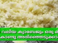 ക്യാബേജ് ഒരു മിനിറ്റ് കൊണ്ടു അരിയാൻ ഇതിലും വലിയ എളുപ്പവഴി ഇല്ല | ക്യാബേജ് തോരൻ