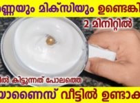 എണ്ണയും മിക്സിയുo ഉണ്ടെങ്കിൽ 2 മിനിറ്റിൽ കടയിൽ കിട്ടുന്നത് പോലത്തെ മയോണൈസ് വീട്ടിൽ ഉണ്ടാക്കാം